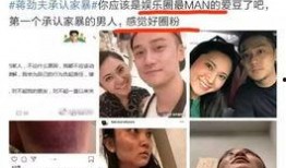 爆料娱乐圈家暴是谁啊百度云,揭秘神秘当事人身份