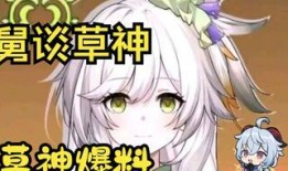 原神爆料草神实机视频,草神降临！原神实机视频揭秘神秘力量与奇幻冒险